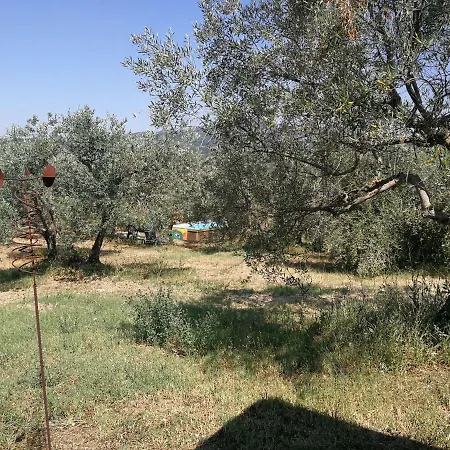 Punto Natura - Rosa Haus Roccastrada